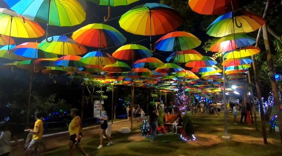 Natal Sustentável no Parque Irmã Dorothy